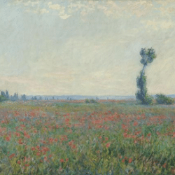 Claude Monet, Papaverveld (Champ de coquelicots)